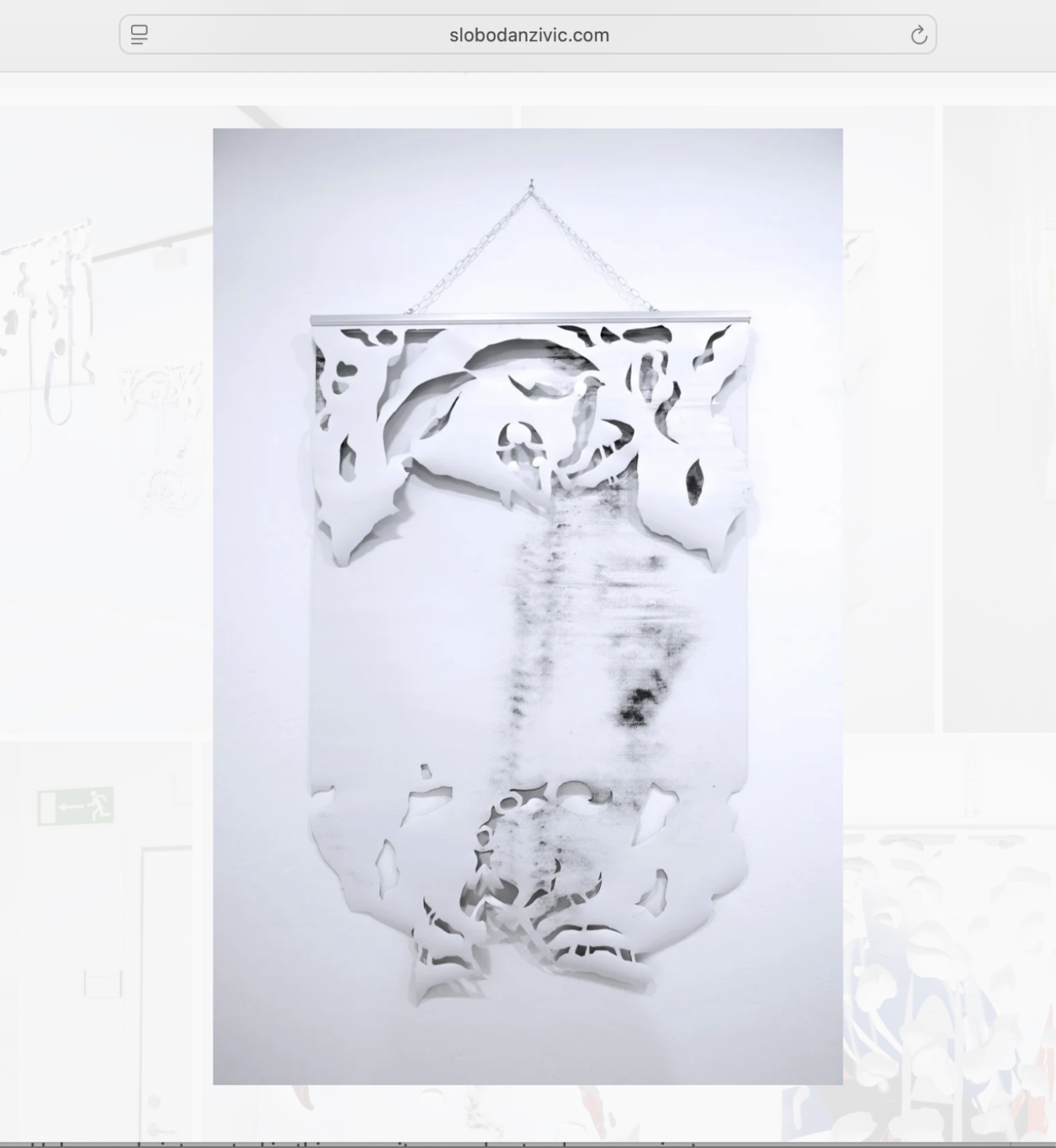 slobodanzivic website